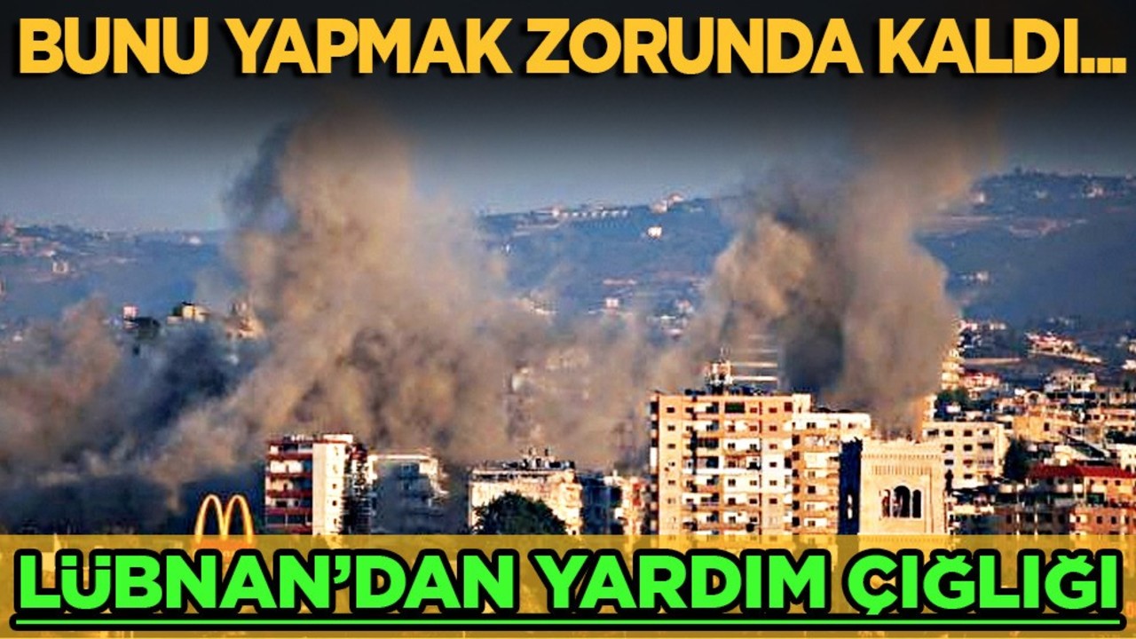 Lübnan, Rusya’dan diplomatik yardım talep etti! Ülkelerin ilişkileri derinleşiyor! Destek kararı aldı