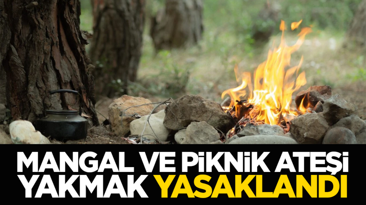 Mangal ve piknik ateşi yakmak yasaklandı