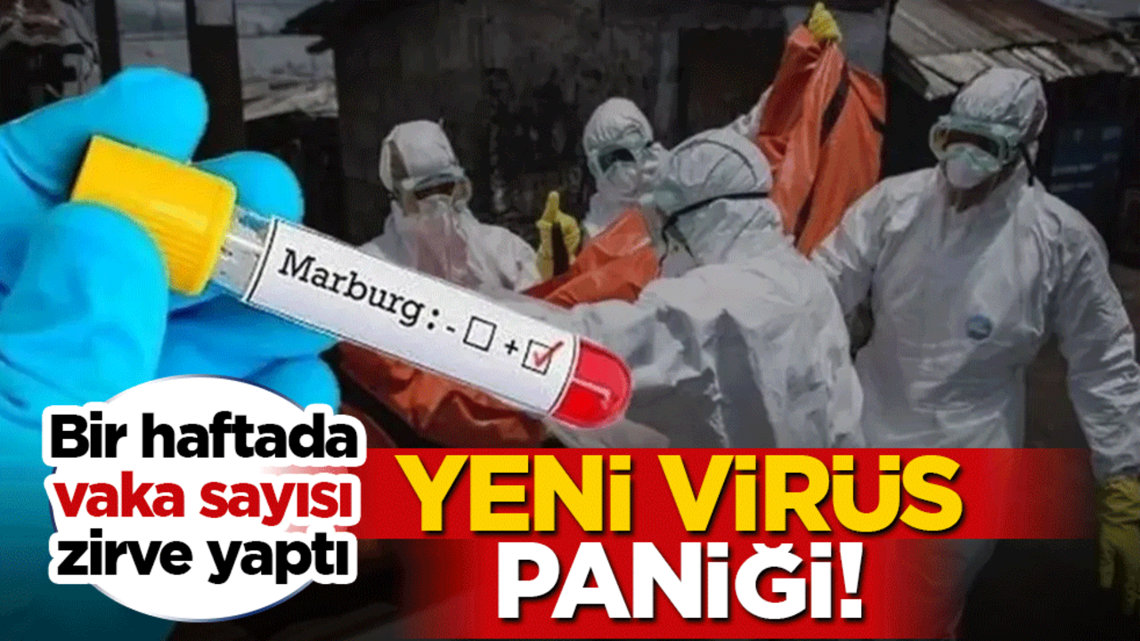 Marburg virüsü paniği! Bir haftada vaka sayısı rekor kırdı