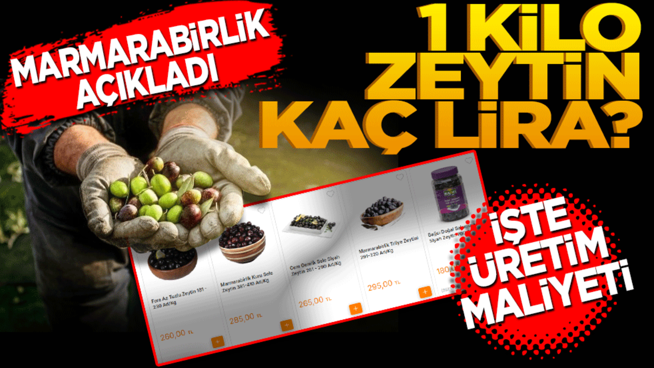 Marmarabirlik açıkladı! 1 kg zeytin kaç lira? İşte üretim maliyeti
