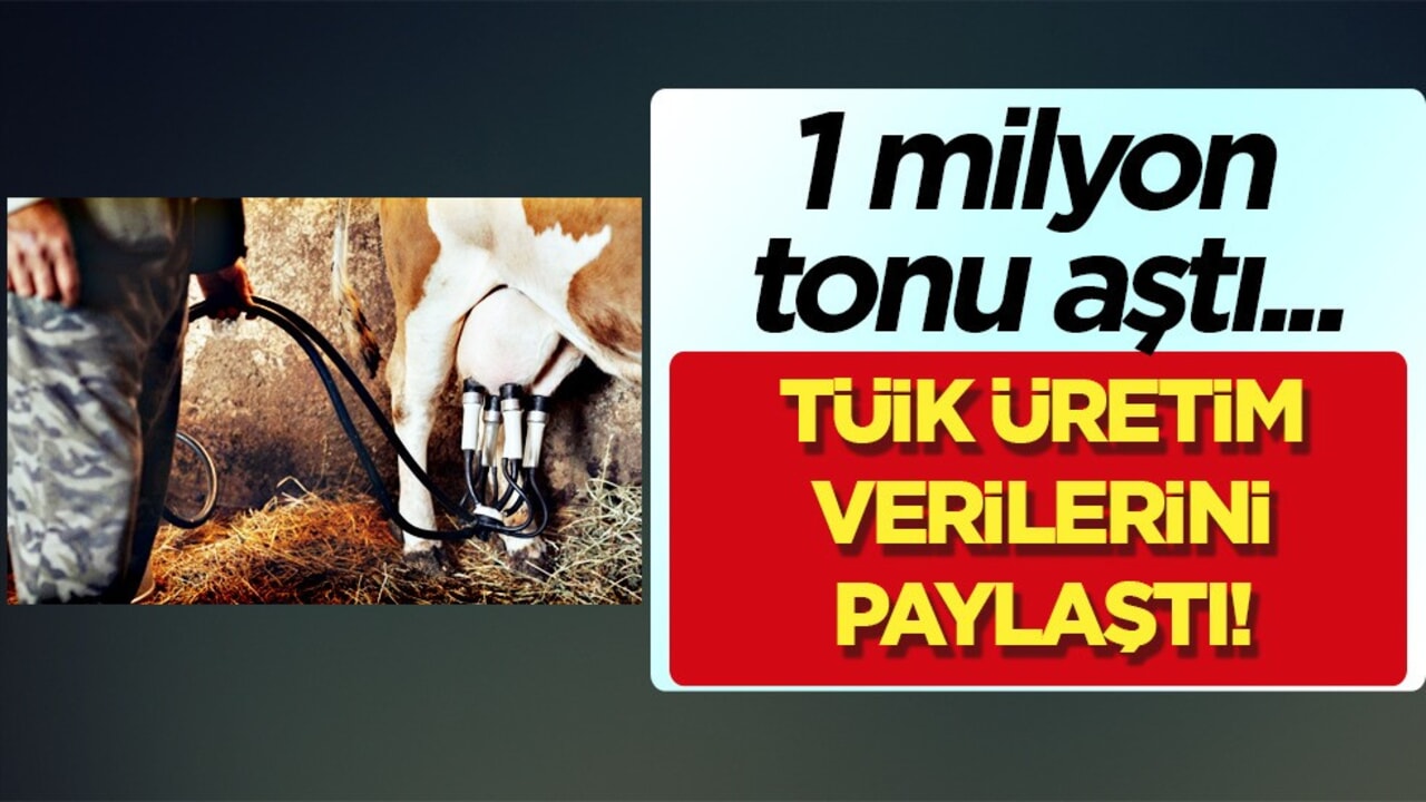 Mart ayında inek sütü üretimi arttı! Kar elde etti: 1 milyon 15 bin ton kar sürprizi!