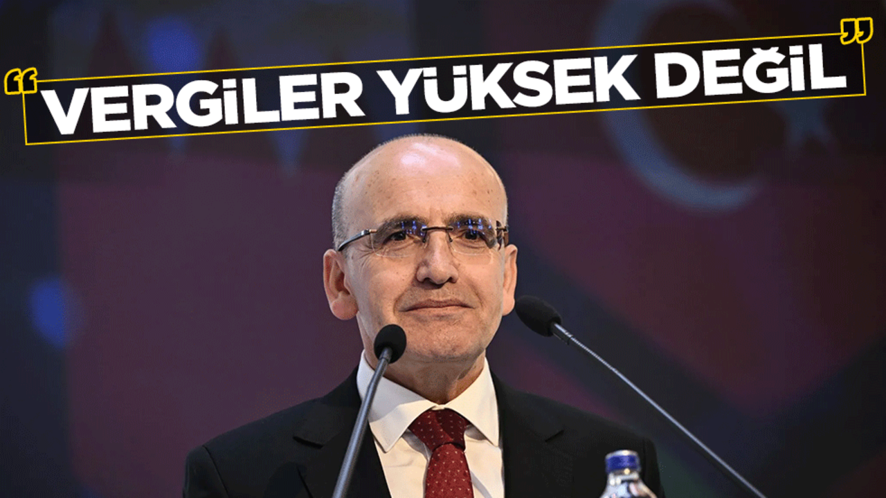 Mehmet Şimşek'in vergi yorumu