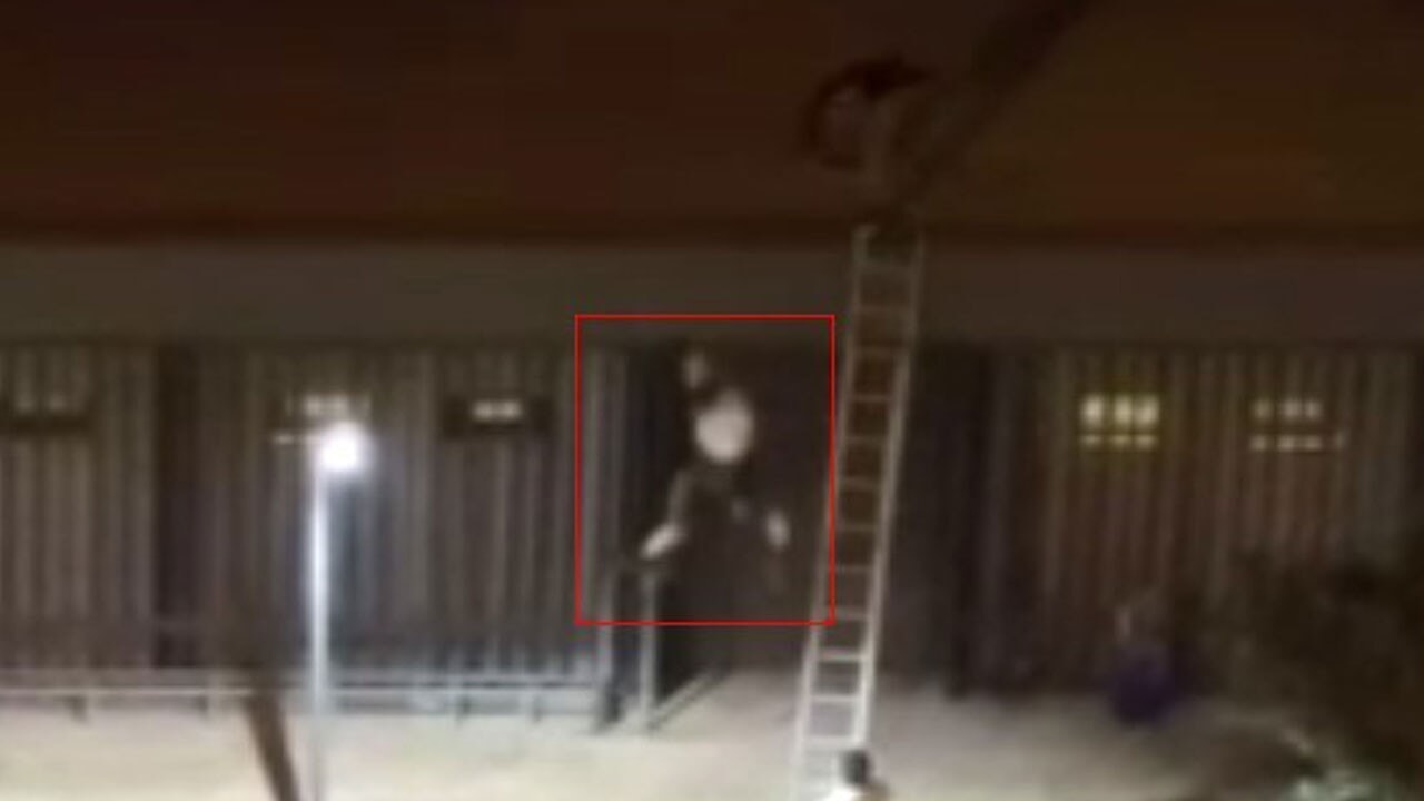 Mersin’deki konseri kaçak izleyen gençleri dövüp çatıdan atan özel güvenlik tutuklandı