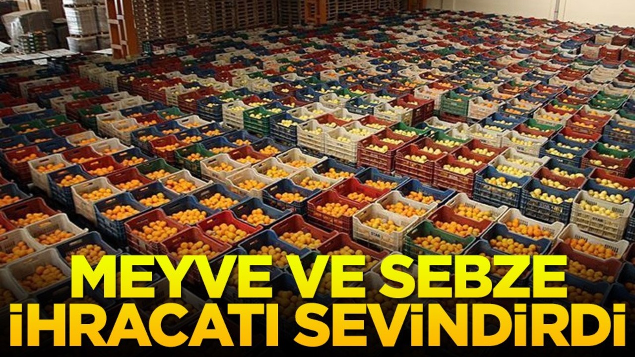 Meyve ve sebze ihracatı sevindirdi
