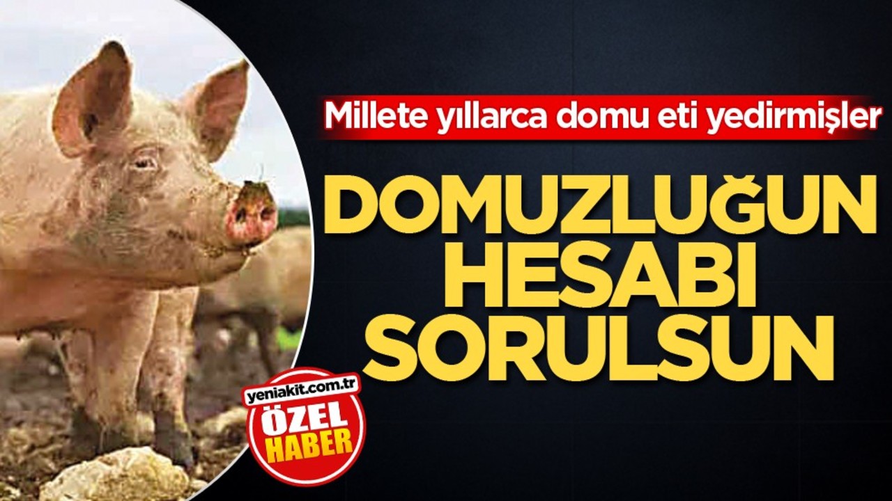 Millete yıllarca domu eti yedirmişler! Domuzluğun hesabı sorulsun