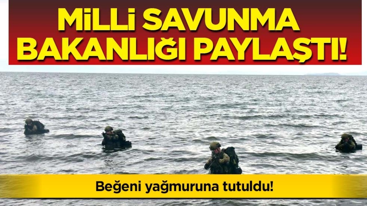 Milli Savunma Bakanlığı'ndan o kare beğeni yağmuruna tutuldu! TSK terörü kaynağında yok ediyor!
