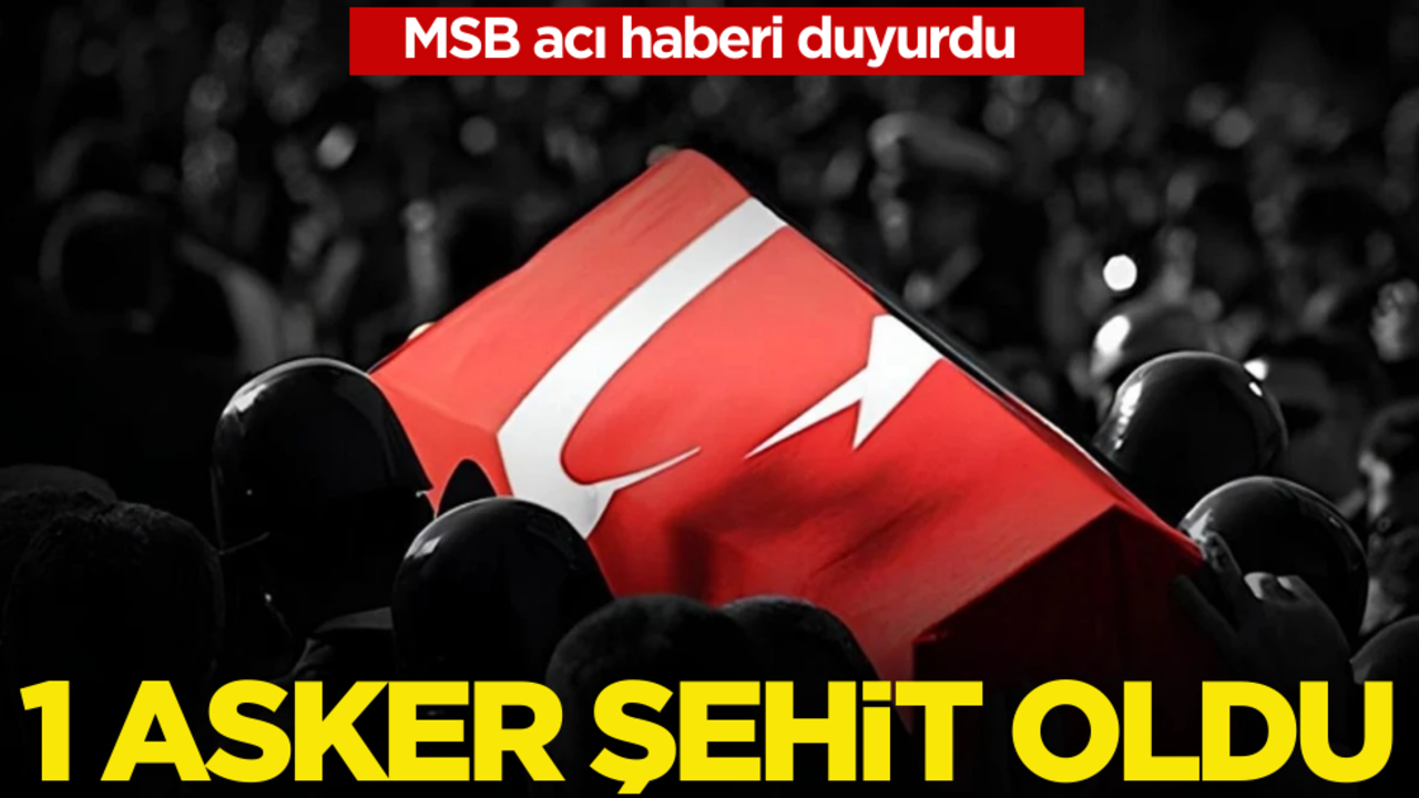 MSB acı haberi duyurdu! Türkiye’ye şehit ateşi düştü