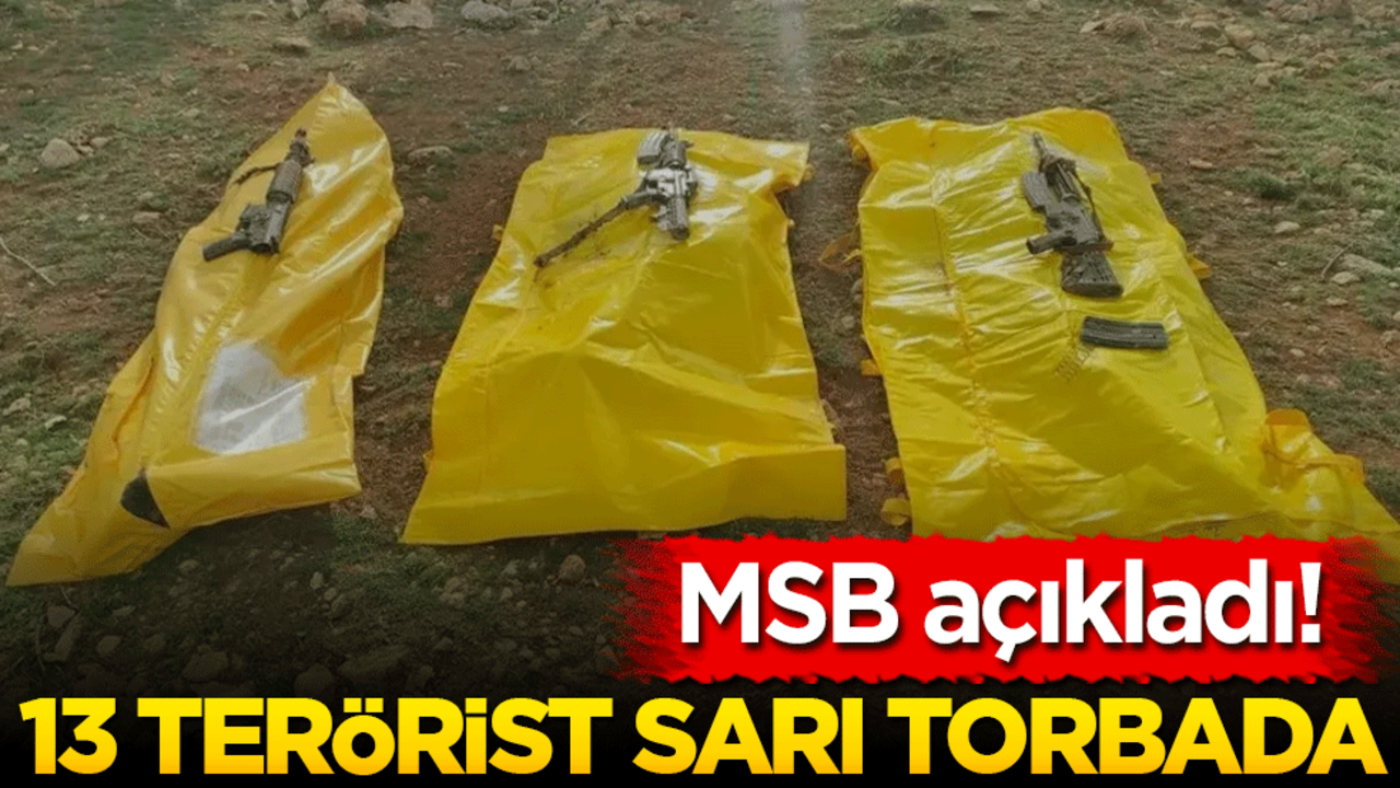 MSB açıkladı! 13 terörist etkisiz hale getirildi