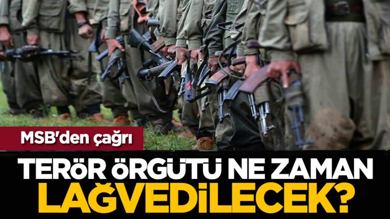 MSB'den çağrı: Terör örgütü ne zaman lağvedilecek?