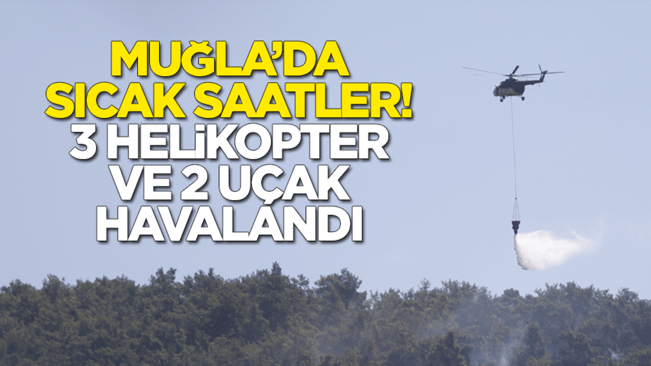 Muğla'da orman yangını! 3 helikopter ve 2 uçak havalandı
