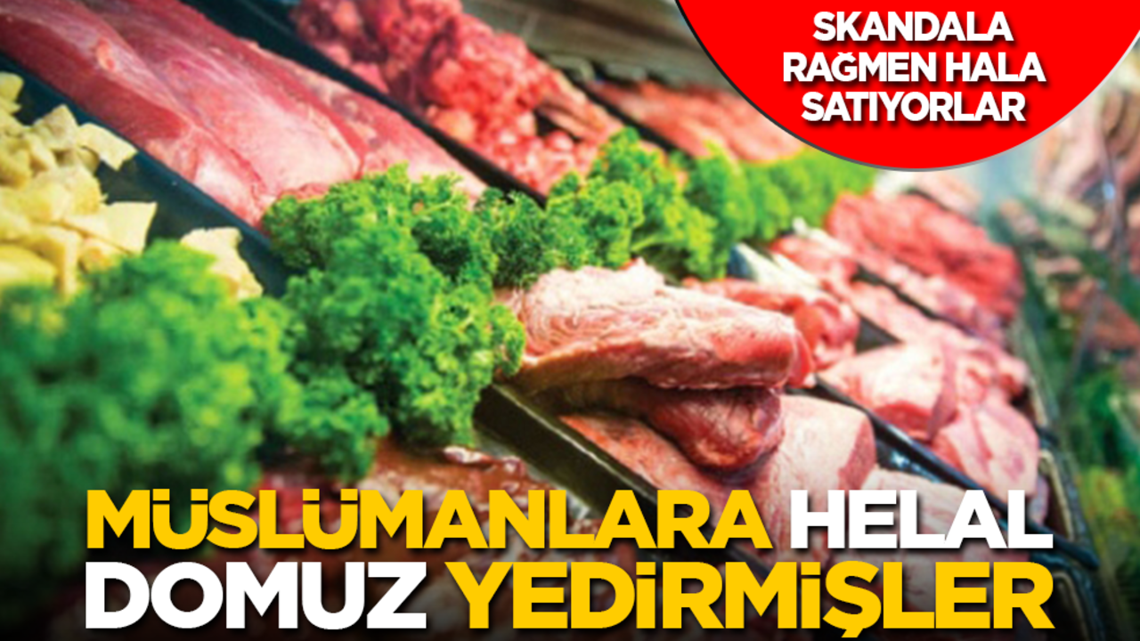 Müslümanlara helal domuz yedirmişler!