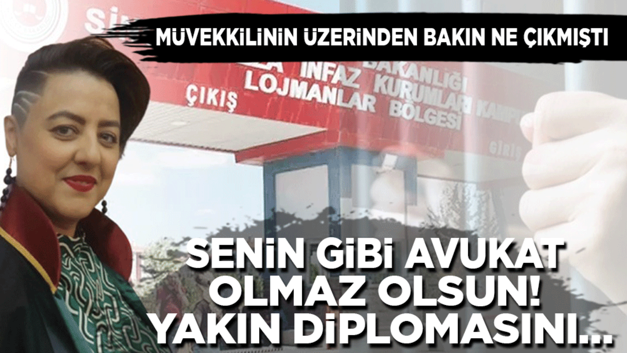 Müvekkilinin üzerinden bakın ne çıkmıştı: Senin gibi avukat olmaz olsun! Yakın diplomasını
