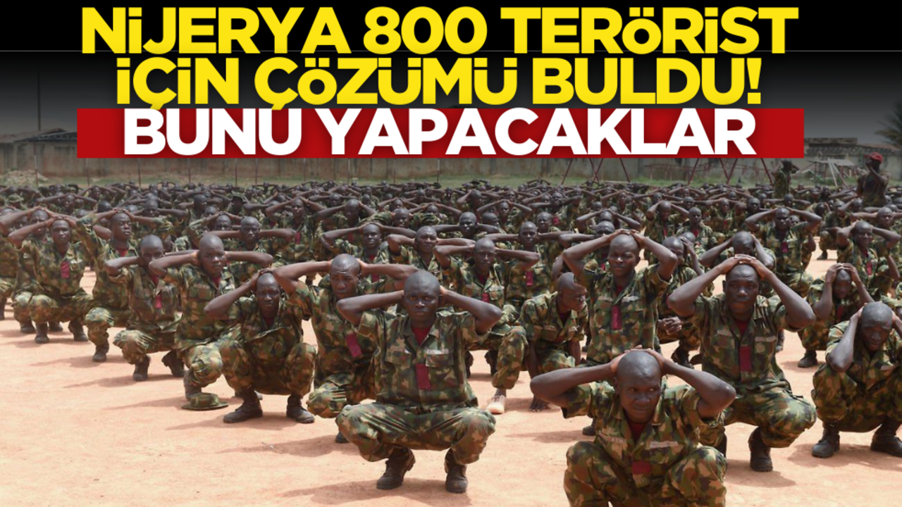 Nijerya 800 terörist için çözümü buldu