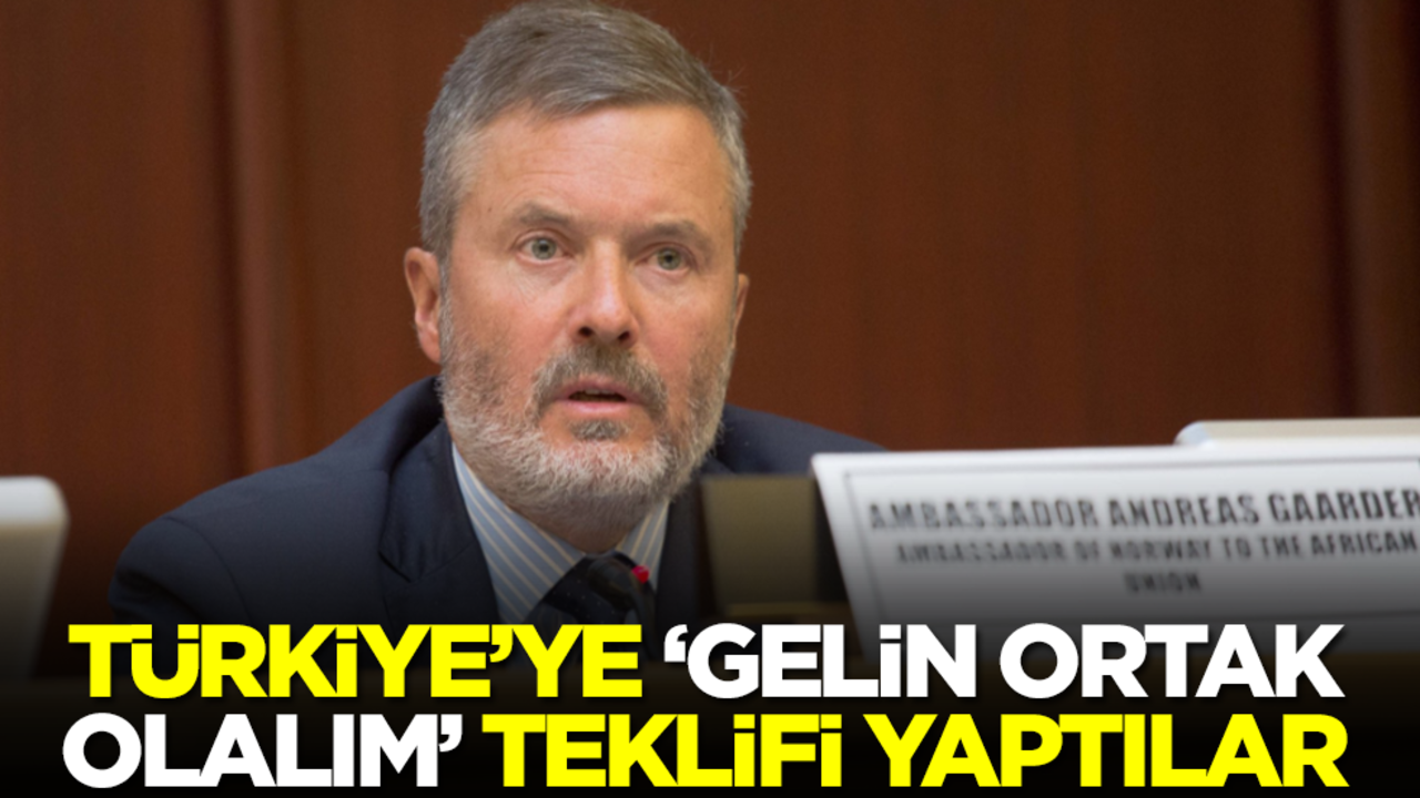 Norveç'ten Türkiye olay teklif: Gelin ortak olalım