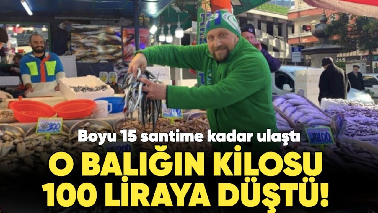 O balığın kilosu 100 liraya düştü! Boyu 15 santime kadar ulaştı