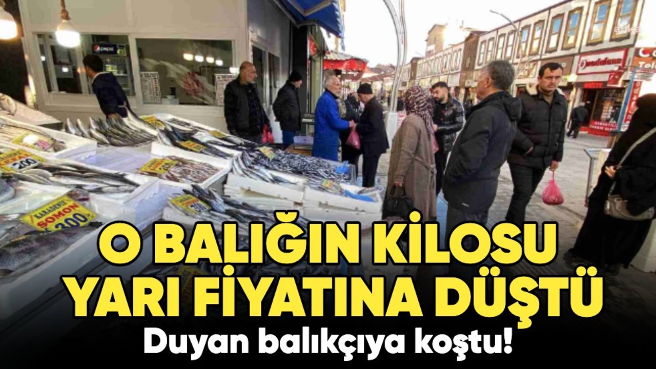 O balığın kilosu yarı fiyatına düştü: Duyan balıkçıya koştu!
