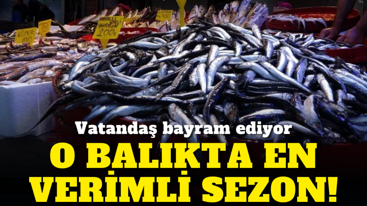 O balıkta en verimli sezon! Vatandaş bayram ediyor