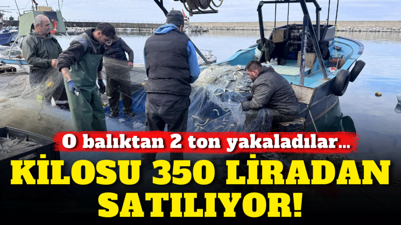 O balıktan 2 ton yakaladılar… Kilosu 350 liradan satılıyor!