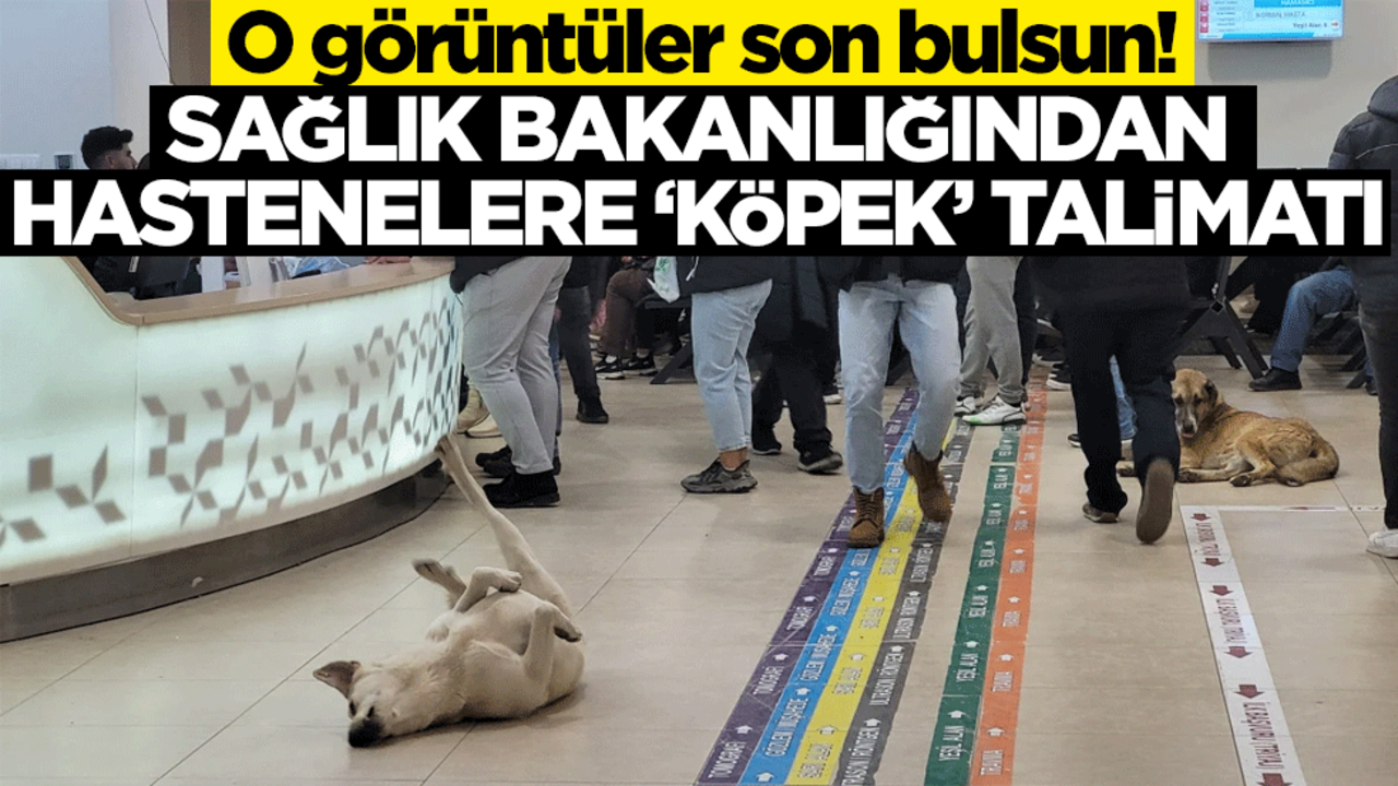 O görüntüler son bulsun! Sağlık bakanlığından hastanelere ‘köpek’ talimatı