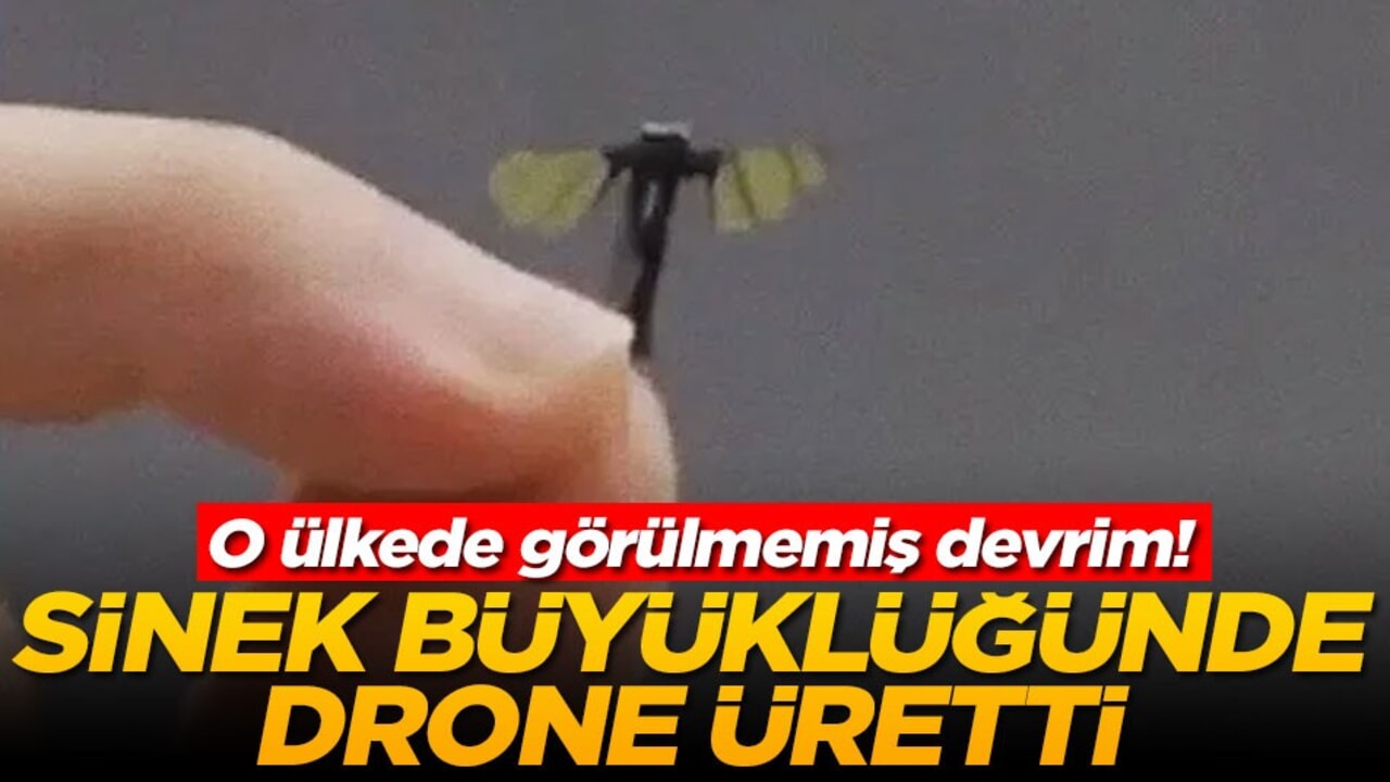 O ülkede görülmemiş devrim! Sinek büyüklüğünde drone üretti