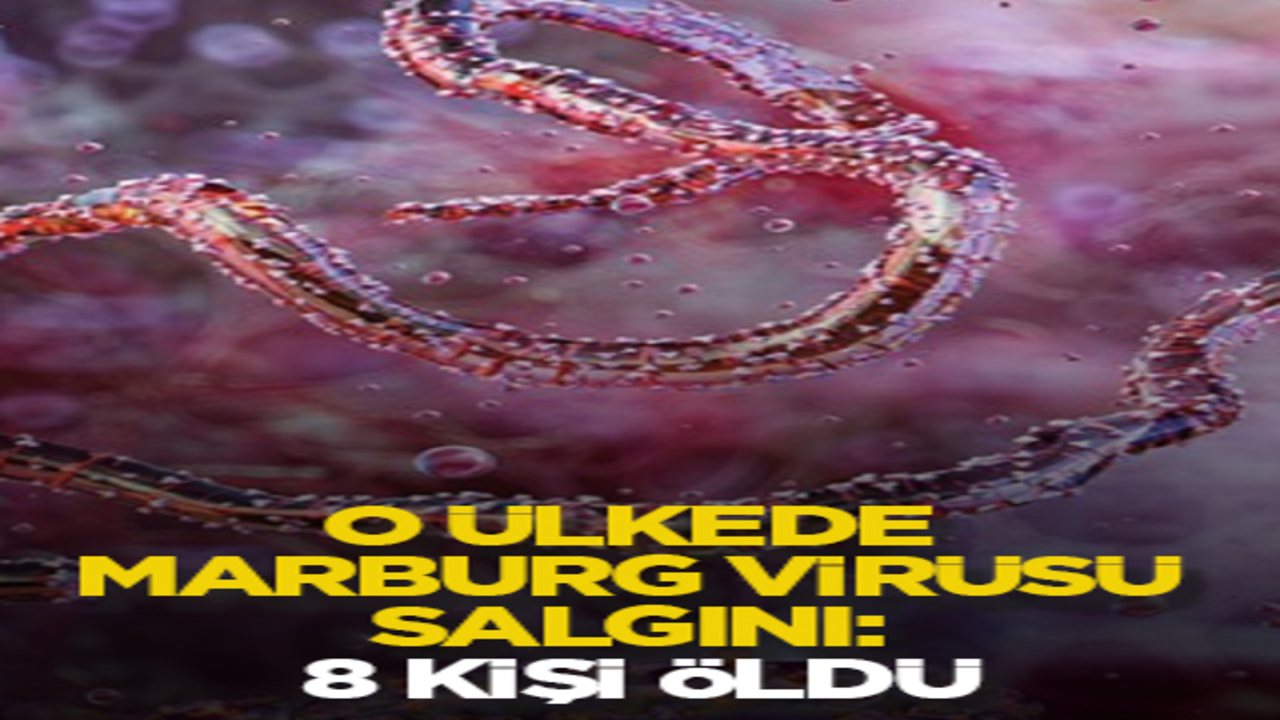 O ülkede Marburg Virüsü salgını: 8 kişi öldü