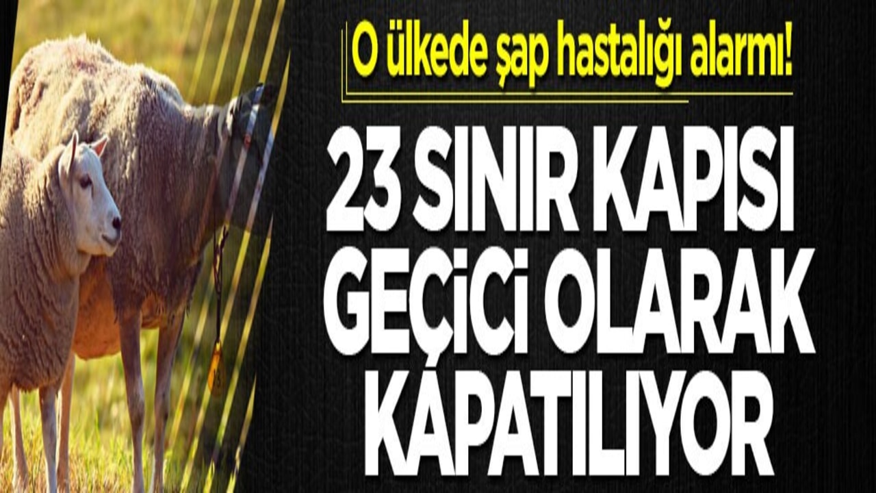 O ülkede şap hastalığı alarmı! 23 sınır kapısı geçici olarak kapatılıyor