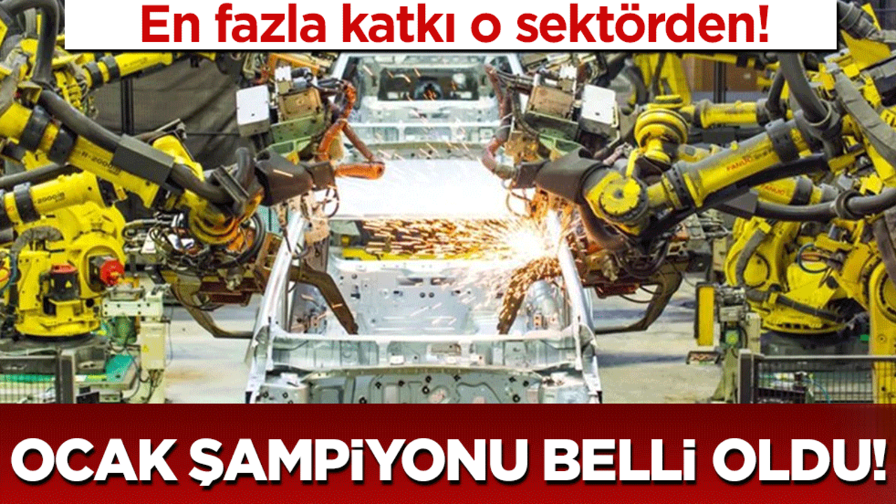Ocak şampiyonu belli oldu: En fazla katkı o sektörden!