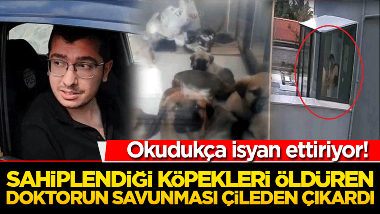 Okudukça isyan ettiriyor! Sahiplendiği köpekleri öldüren doktorun savunması çileden çıkardı