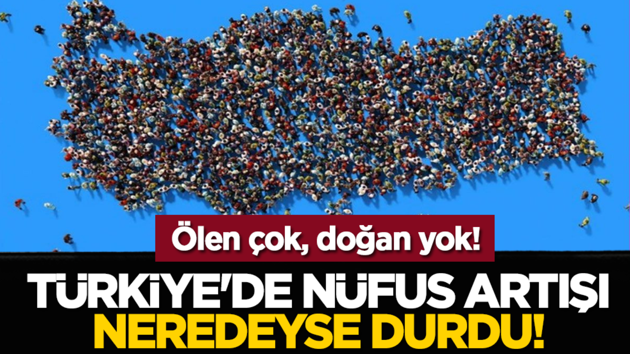 Ölen çok, doğan yok! Türkiye'de nüfus artışı neredeyse durdu!