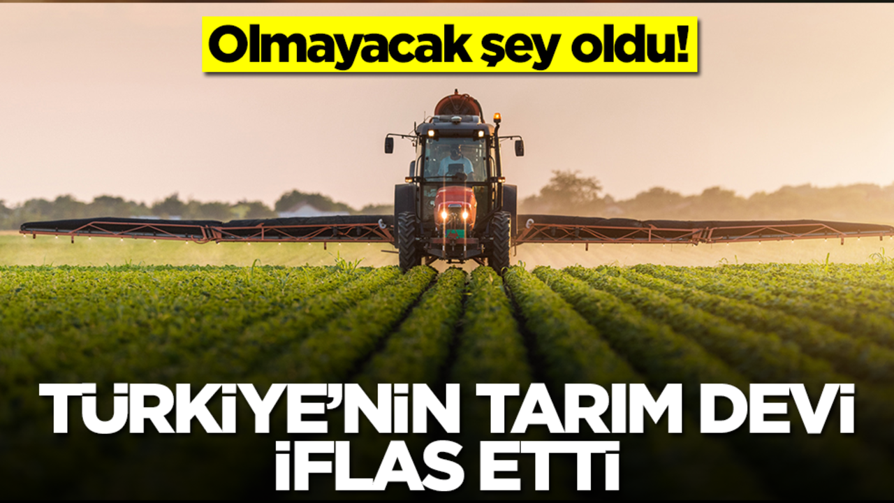 Olmayacak şey oldu! Türkiye'nin tarım devi iflas etti