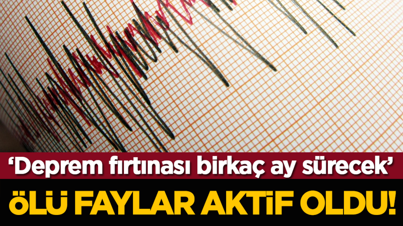 'Ölü faylar aktif oldu! Deprem fırtınası birkaç ay sürecek'