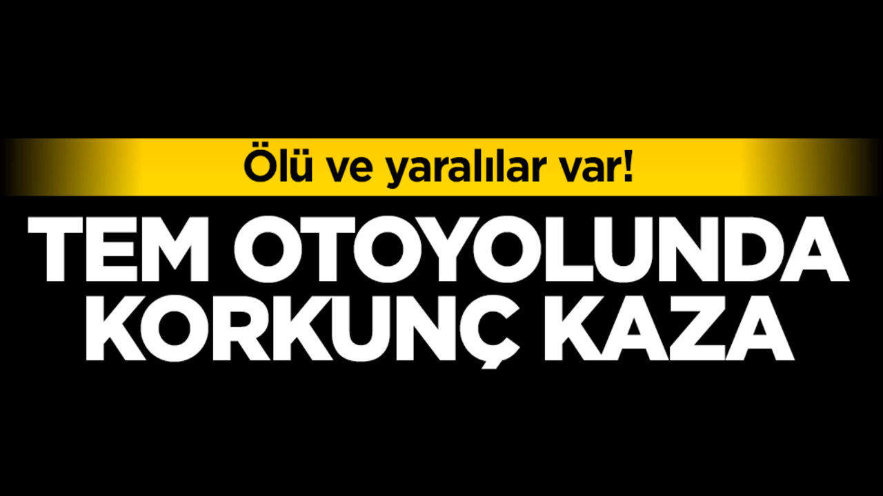 Ölü ve yaralılar var! TEM Otoyolunda korkunç kaza