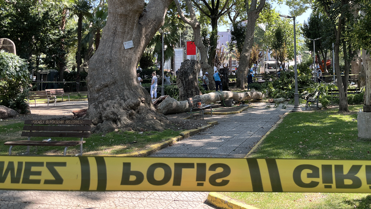 Ölüm yukarıdan geldi! Yoldan geçerken üzerlerine ağaçtan dal düşen 3 kişiden 1’i öldü