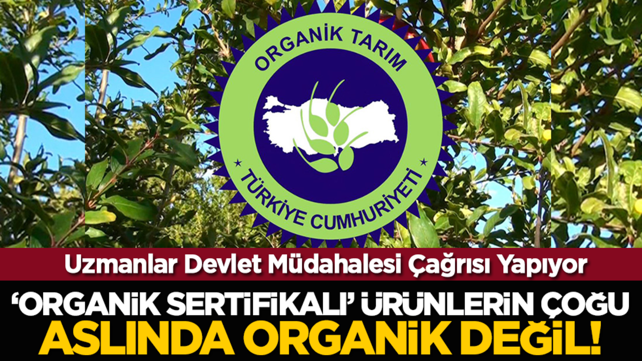 "Organik Sertifikalı" Ürünlerin Çoğu Aslında Organik Değil: Uzmanlar Devlet Müdahalesi Çağrısı Yapıyor