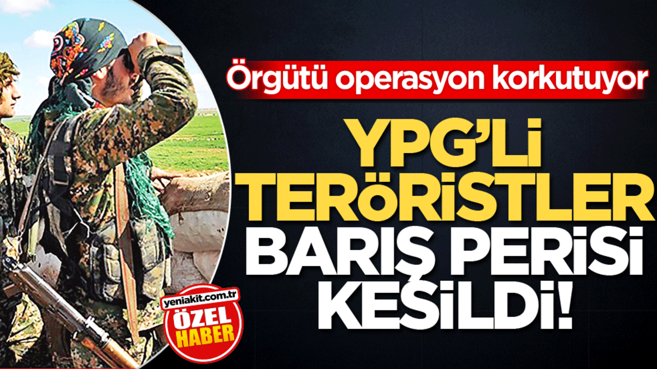 Örgütü operasyon korkutuyor! YPG’li teröristler barış perisi kesildi!