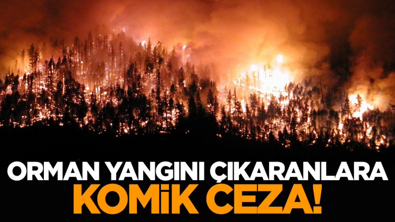 Orman yangını çıkaranlara komik ceza!
