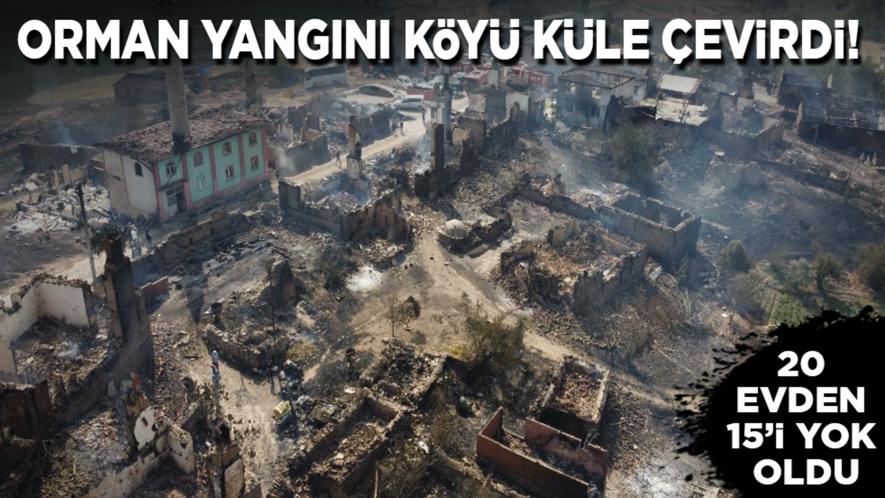 Orman yangını köyü yok etti: 20 evden 15'i kül oldu