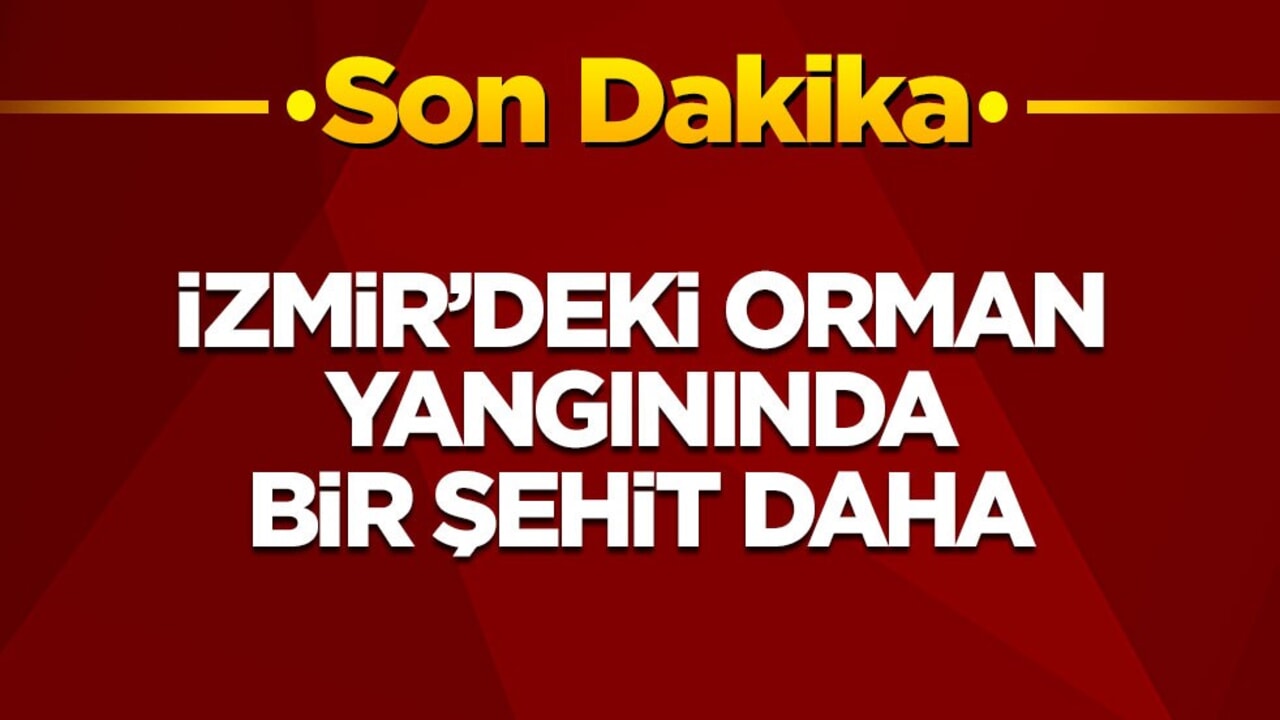 Orman yangınlarında bir şehit daha