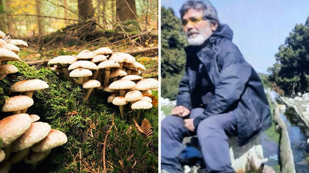 Ormana mantar toplamaya gitti, 2 gündür haber alınamıyor