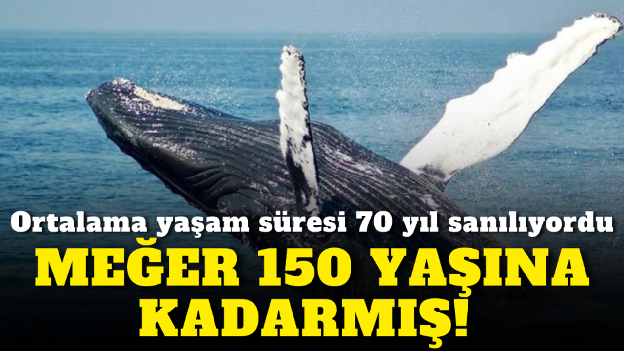 Ortalama yaşam süresi 70 yıl sanılıyordu, meğer 150 yaşına kadarmış!