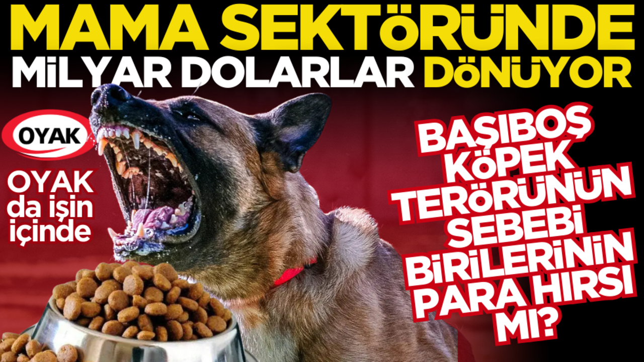 OYAK da işin içinde… Mama sektöründe milyar dolarlar dönüyor! Başıboş köpek terörünün sebebi birilerinin para hırsı mı?