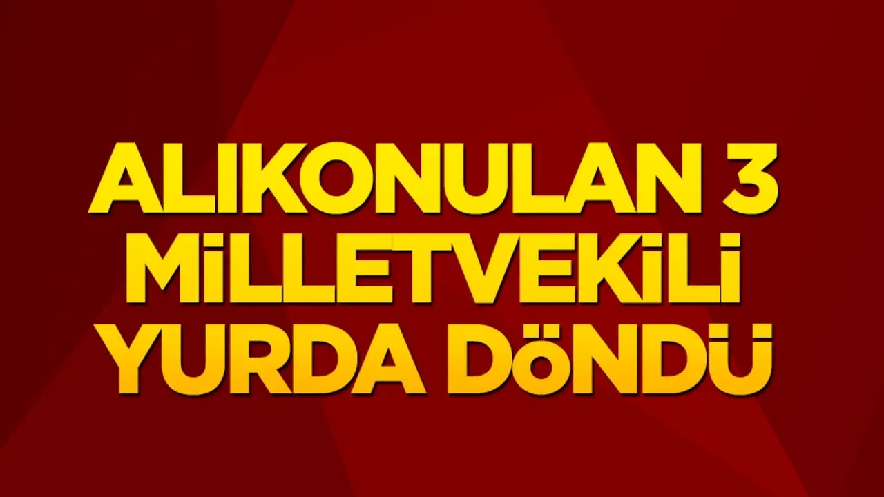 Özgürlük Filosu'nda alıkonulan 3 Türk milletvekili yurda döndü