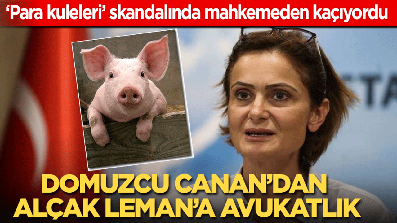 ‘Para kuleleri’ skandalında mahkemeden kaçıyordu! Domuzcu Canan'dan alçak Leman'a avukatlık