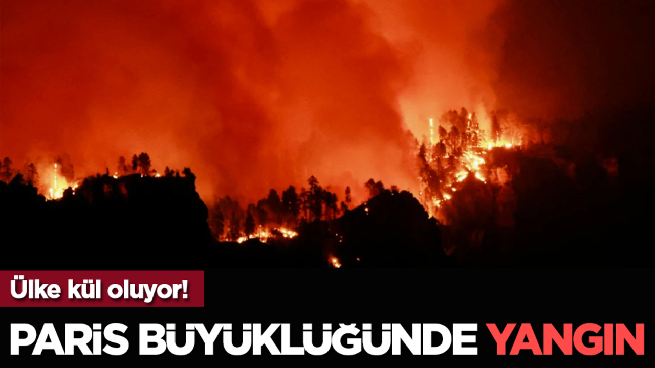 Paris büyüklüğünde yangın: Ülke kül oluyor!