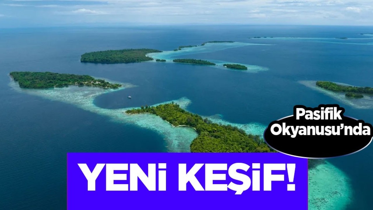 Pasifik Okyanusu’nda çok konuşulacak çarpıcı keşif! Bilim insanları şaştı kaldı... Dikkat çeken sonucu