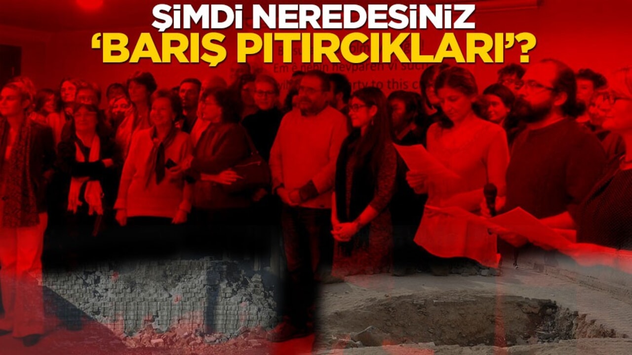 Peki şimdi neredesiniz "Barış Pıtırcıkları"?