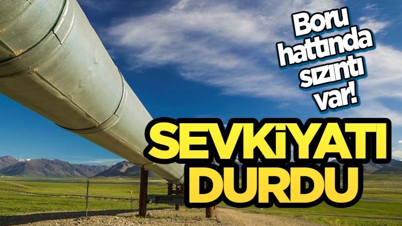 Petrol taşıyan Rus boru hattında sızıntı tespit edildi! İlan edildi: Ekipler oraya gönderildi!