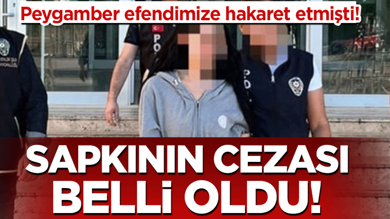 Peygamber efendimize hakaret etmişti! Sapkının cezası belli oldu!