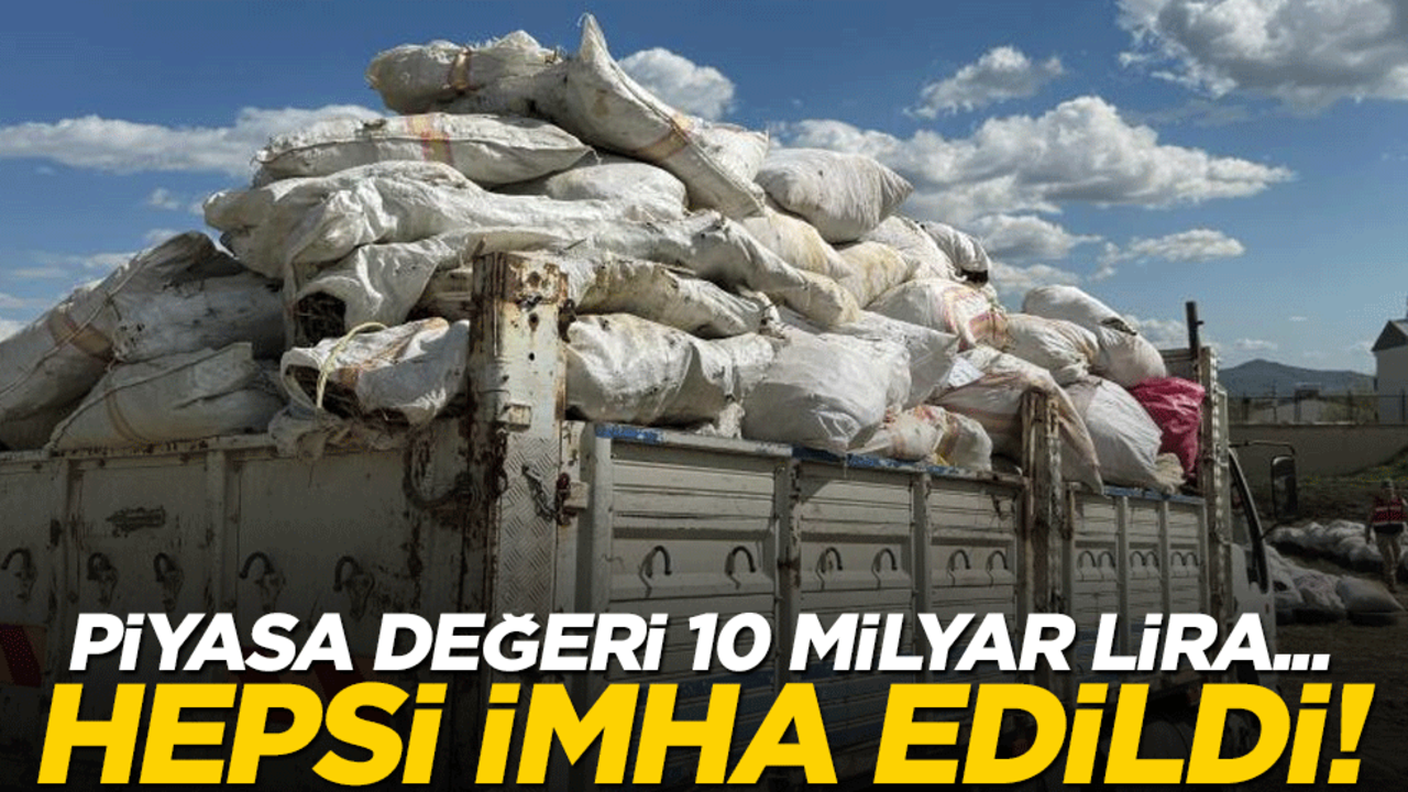 Piyasa değeri 10 milyar lira... Hepsi imha edildi!