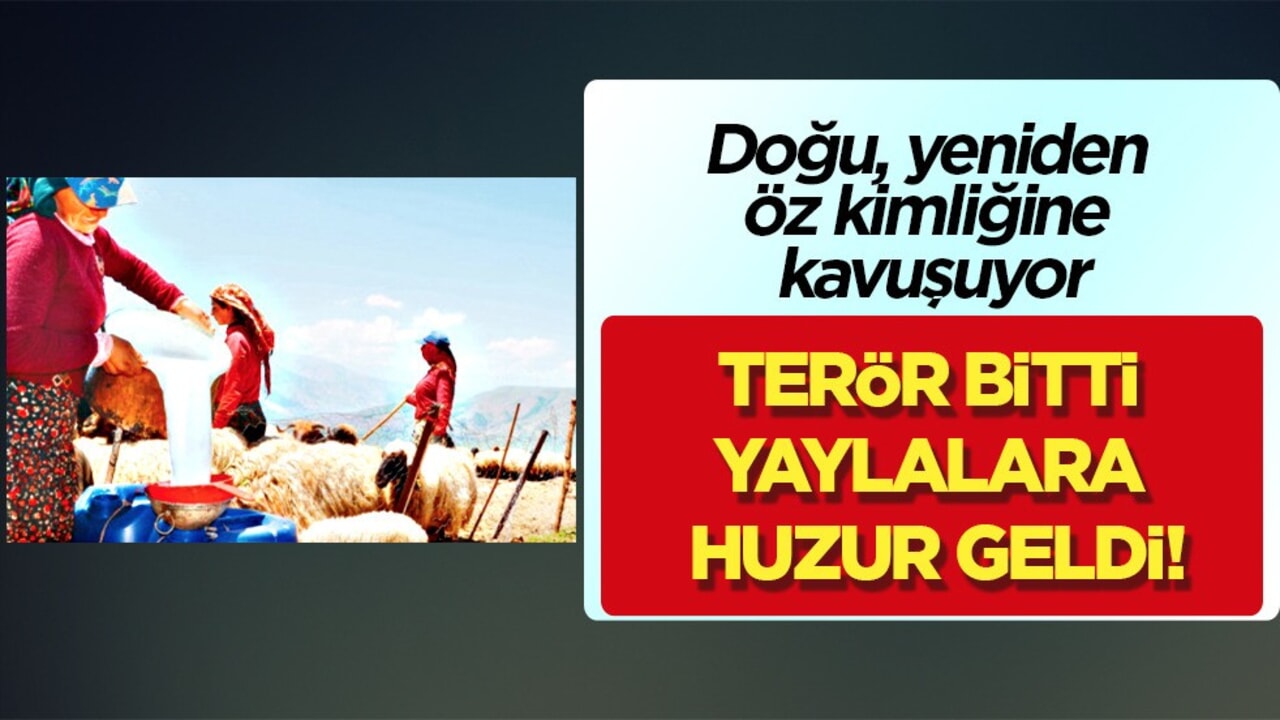Terör bitti, vatandaşın ikinci baharı: O yaylalara huzur geldi! Savaş alanına çevirdiler!